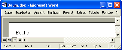 Beispiel-Datei in Word